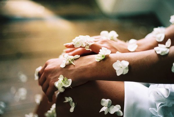 Les principes et les techniques fondamentaux de la naturopathie